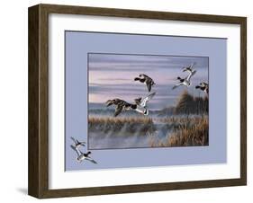 Ducks in Flight 1-Wilhelm Goebel-Framed Giclee Print