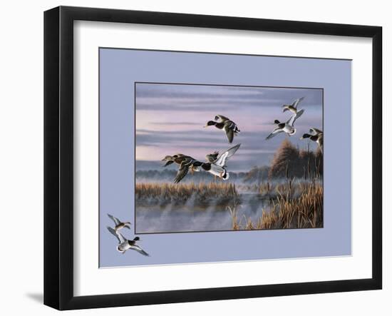 Ducks in Flight 1-Wilhelm Goebel-Framed Giclee Print