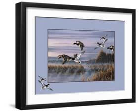 Ducks in Flight 1-Wilhelm Goebel-Framed Giclee Print