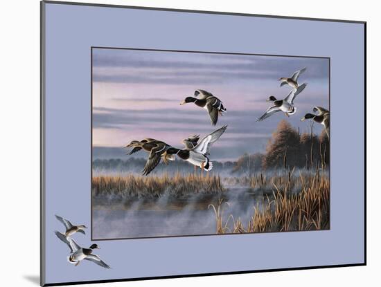 Ducks in Flight 1-Wilhelm Goebel-Mounted Giclee Print