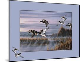 Ducks in Flight 1-Wilhelm Goebel-Mounted Giclee Print