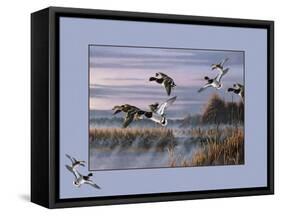 Ducks in Flight 1-Wilhelm Goebel-Framed Stretched Canvas