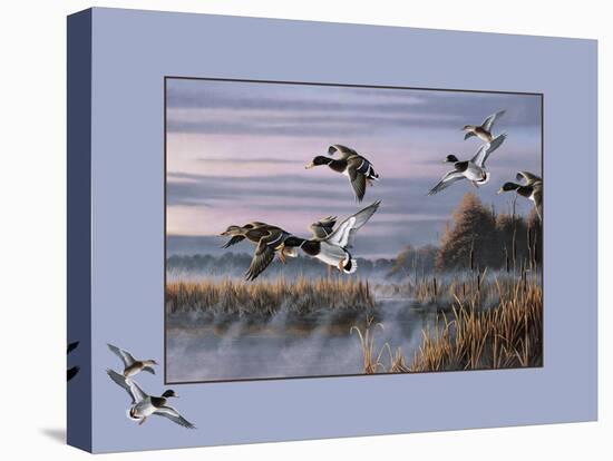 Ducks in Flight 1-Wilhelm Goebel-Stretched Canvas