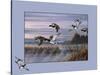 Ducks in Flight 1-Wilhelm Goebel-Stretched Canvas
