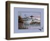 Ducks in Flight 2-Wilhelm Goebel-Framed Giclee Print