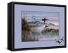 Ducks in Flight 2-Wilhelm Goebel-Framed Stretched Canvas