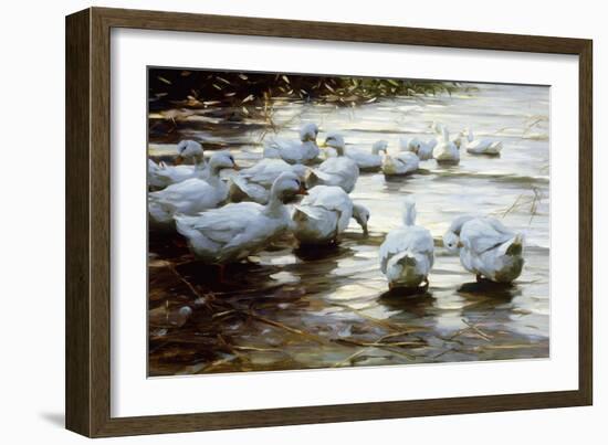 Ducks in Shallow Water Reed; Enten in Flachem Schilfwasser-Alexander Koester-Framed Giclee Print