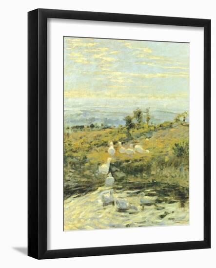 Ducks in the Morning, Ca 1892-Niccolo Cannicci-Framed Giclee Print