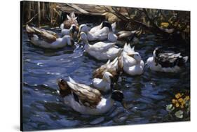 Ducks in the Reeds under the Boughs-Alexander Koester-Stretched Canvas