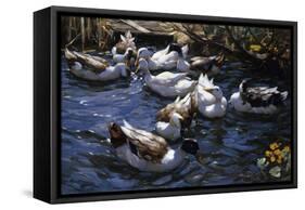 Ducks in the Reeds under the Boughs-Alexander Koester-Framed Stretched Canvas