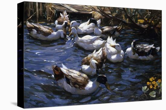 Ducks in the Reeds under the Boughs-Alexander Koester-Stretched Canvas