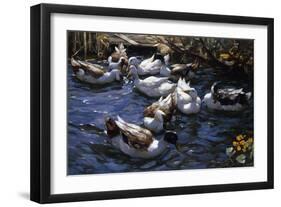 Ducks in the Reeds under the Boughs-Alexander Koester-Framed Giclee Print