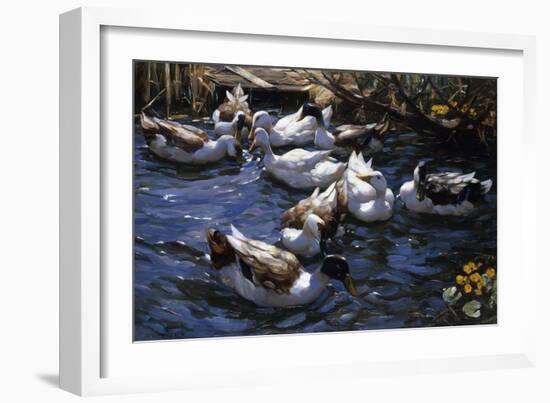 Ducks in the Reeds under the Boughs-Alexander Koester-Framed Giclee Print