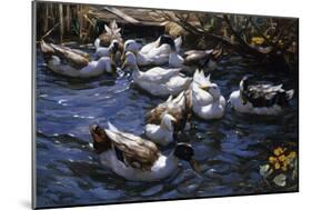Ducks in the Reeds under the Boughs-Alexander Koester-Mounted Giclee Print