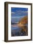 Ducks in wetlands slough with snowy barn, Kalispell, Montana, USA-Chuck Haney-Framed Photographic Print