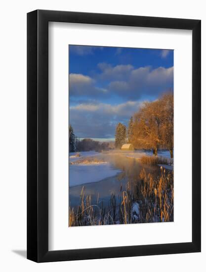 Ducks in wetlands slough with snowy barn, Kalispell, Montana, USA-Chuck Haney-Framed Photographic Print