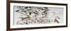 Ducks, Nests, Butterflies, Cats and Rodents-null-Framed Giclee Print