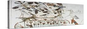 Ducks, Nests, Butterflies, Cats and Rodents-null-Stretched Canvas