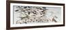 Ducks, Nests, Butterflies, Cats and Rodents-null-Framed Giclee Print