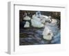 Ducks on a Pond, C1884-1932-Alexander Koester-Framed Giclee Print