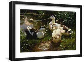 Ducks on a Pond with Waterlilies-Alexander Koester-Framed Giclee Print