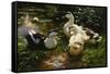 Ducks on a Pond with Waterlilies-Alexander Koester-Framed Stretched Canvas