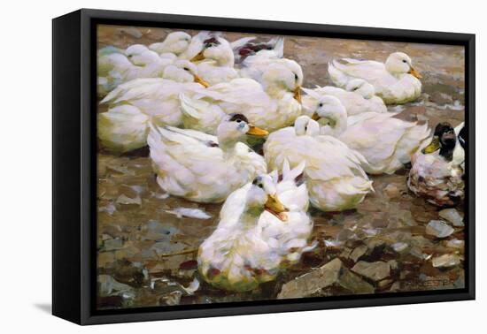 Ducks on a Pond-Alexander Koester-Framed Stretched Canvas