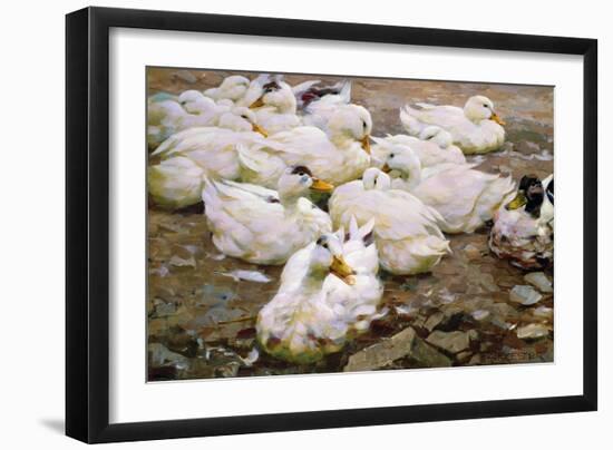 Ducks on a Pond-Alexander Koester-Framed Giclee Print