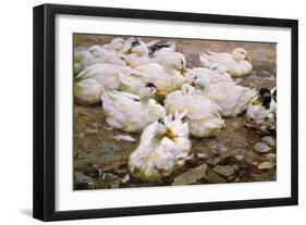 Ducks on a Pond-Alexander Koester-Framed Giclee Print