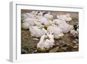 Ducks on a Pond-Alexander Koester-Framed Giclee Print