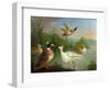 Ducks on a River Landscape-Marmaduke Craddock-Framed Giclee Print