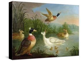 Ducks on a River Landscape-Marmaduke Craddock-Stretched Canvas