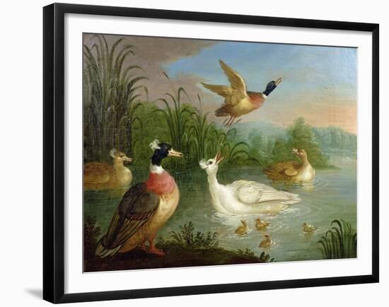 Ducks on a River Landscape-Marmaduke Craddock-Framed Giclee Print