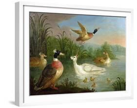 Ducks on a River Landscape-Marmaduke Craddock-Framed Giclee Print