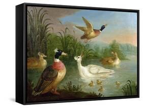 Ducks on a River Landscape-Marmaduke Craddock-Framed Stretched Canvas