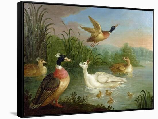 Ducks on a River Landscape-Marmaduke Craddock-Framed Stretched Canvas