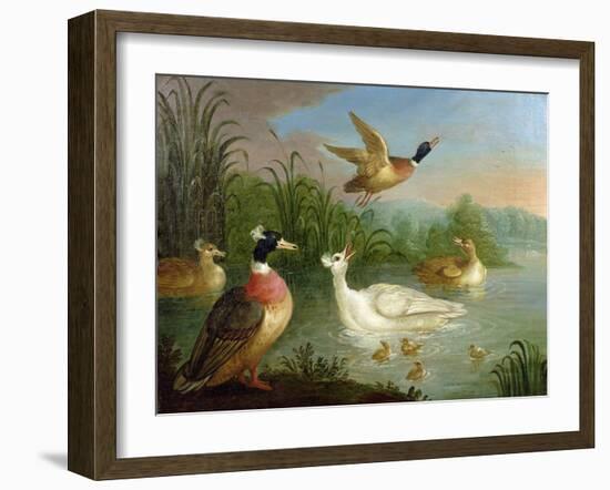 Ducks on a River Landscape-Marmaduke Craddock-Framed Giclee Print