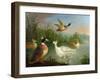 Ducks on a River Landscape-Marmaduke Craddock-Framed Giclee Print