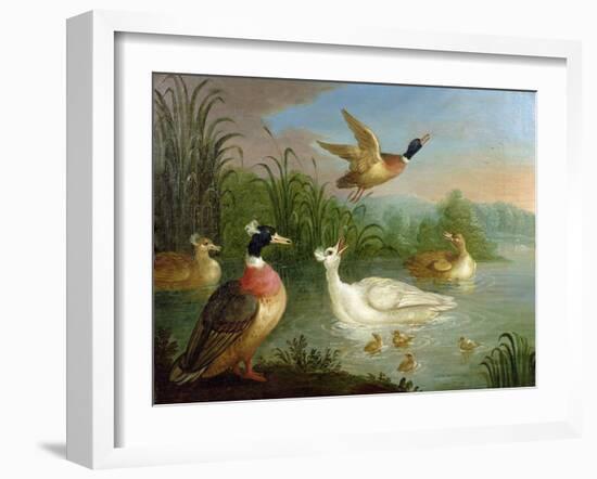 Ducks on a River Landscape-Marmaduke Craddock-Framed Giclee Print
