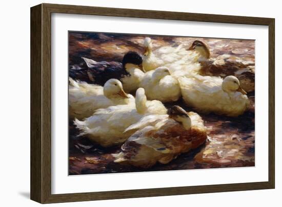 Ducks on a Riverbank-Alexander Koester-Framed Giclee Print