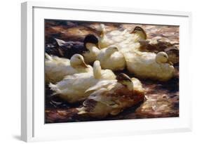 Ducks on a Riverbank-Alexander Koester-Framed Giclee Print