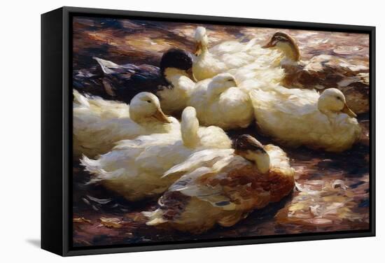 Ducks on a Riverbank-Alexander Koester-Framed Stretched Canvas