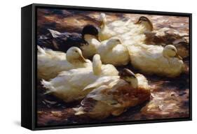 Ducks on a Riverbank-Alexander Koester-Framed Stretched Canvas