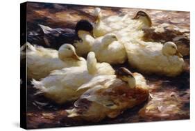Ducks on a Riverbank-Alexander Koester-Stretched Canvas