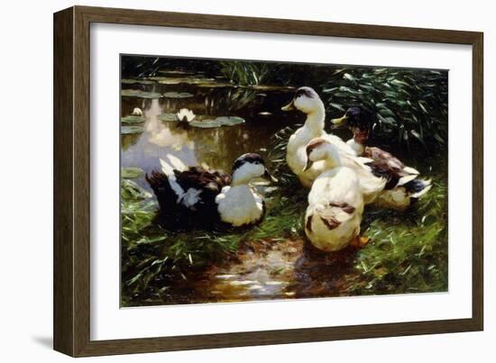 Ducks on a Riverbank-Alexander Koester-Framed Giclee Print