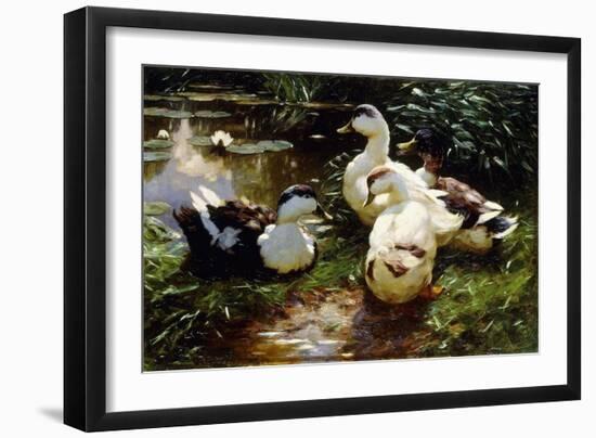 Ducks on a Riverbank-Alexander Koester-Framed Giclee Print