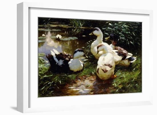 Ducks on a Riverbank-Alexander Koester-Framed Giclee Print