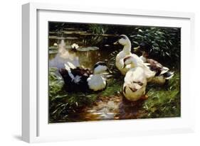 Ducks on a Riverbank-Alexander Koester-Framed Giclee Print