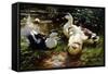 Ducks on a Riverbank-Alexander Koester-Framed Stretched Canvas