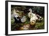 Ducks on a Riverbank-Alexander Koester-Framed Giclee Print